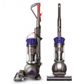 Dyson Ball Animal Pro Upright Vacuum | Purple | Refurbished