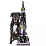 BISSELL PowerLifter Pet Rewind with Swivel Bagless Upright Vacuum 2259