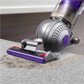 Dyson Ball Animal 2 Upright Vacuum Iron-Purple Features Self-adjusting cleaner head 227635-01-334176-01
